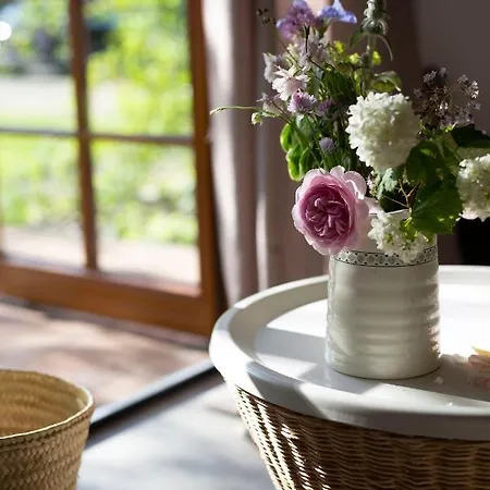 Dom Majowka I Bartoszowka I Michalowka * Karwienskie Bloto Drugie