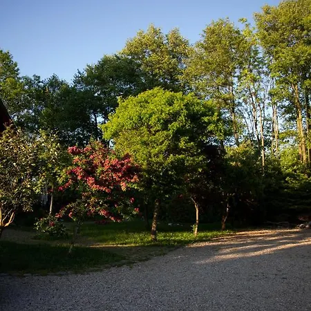 Dom Majowka I Bartoszowka I Michalowka