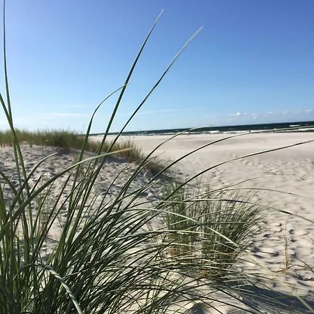 Dom Majowka I Bartoszowka I Michalowka 別荘 *