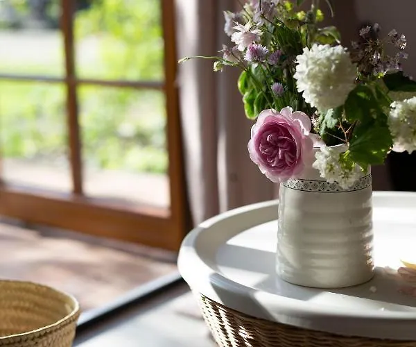 Dom Majowka I Bartoszowka I Michalowka * Karwienskie Bloto Drugie