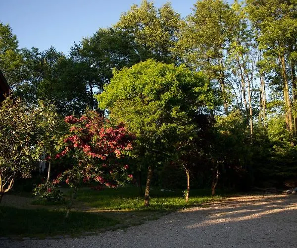 Dom Majowka I Bartoszowka I Michalowka