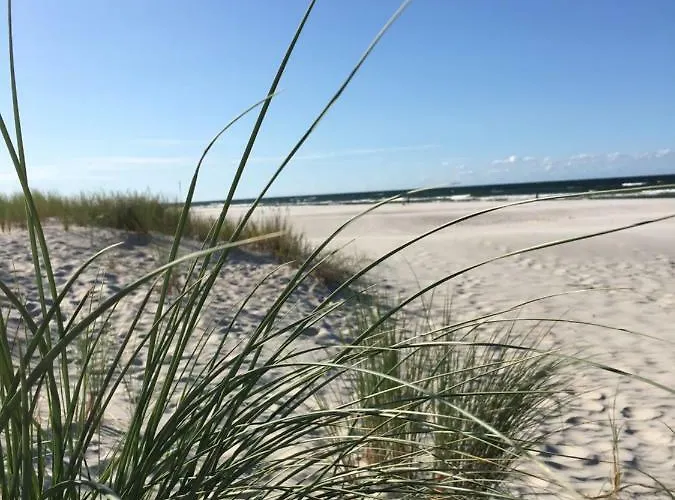 Dom Majowka I Bartoszowka I Michalowka Semesterbostad *