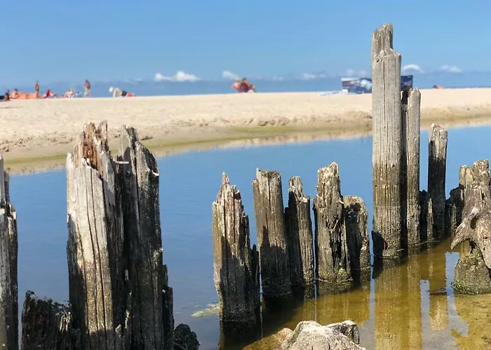 Dom Majowka I Bartoszowka I Michalowka Karwienskie Bloto Drugie